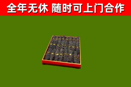 锡林郭勒回收海参
